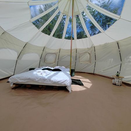 Luna Rock Glamping Brezoi - Blue Scai Hotel Buitenkant foto