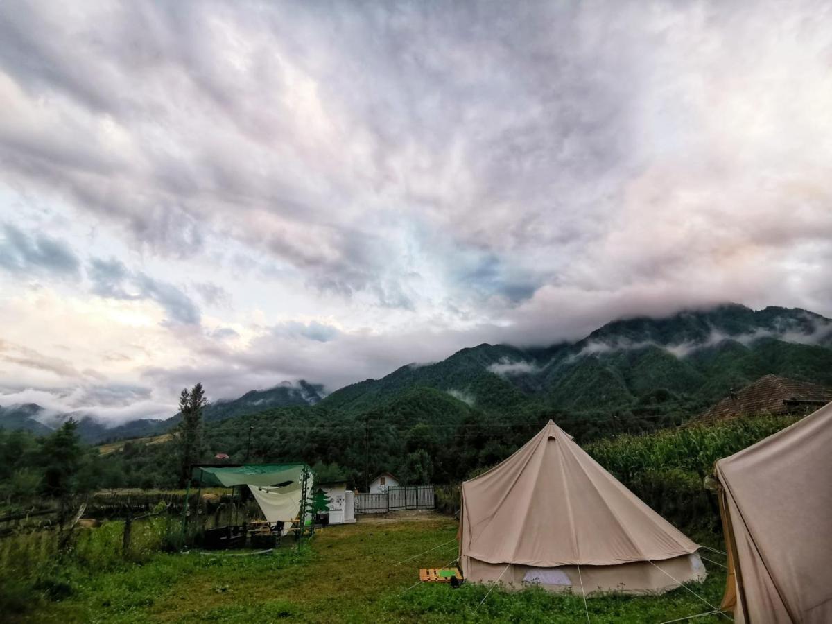 Luna Rock Glamping Brezoi - Blue Scai Hotel Buitenkant foto