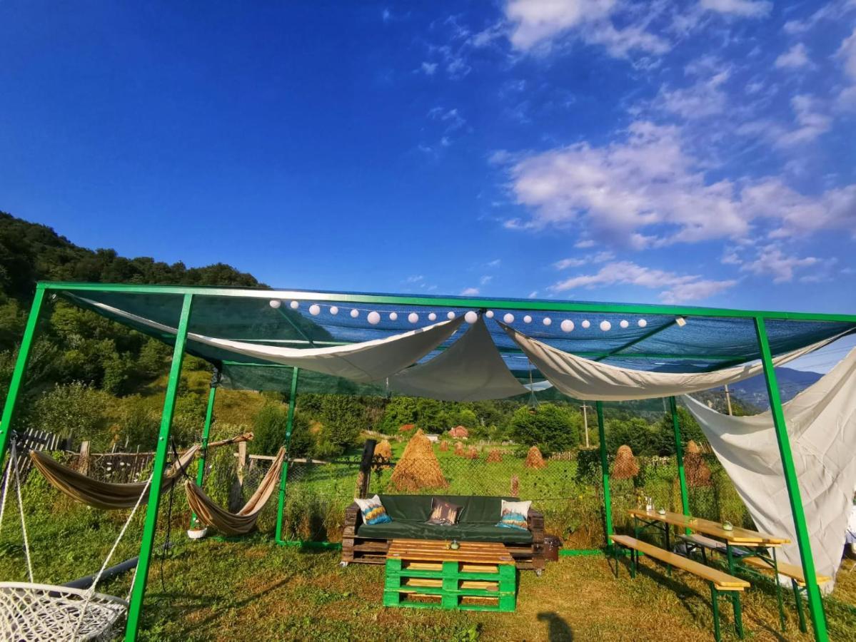 Luna Rock Glamping Brezoi - Blue Scai Hotel Buitenkant foto