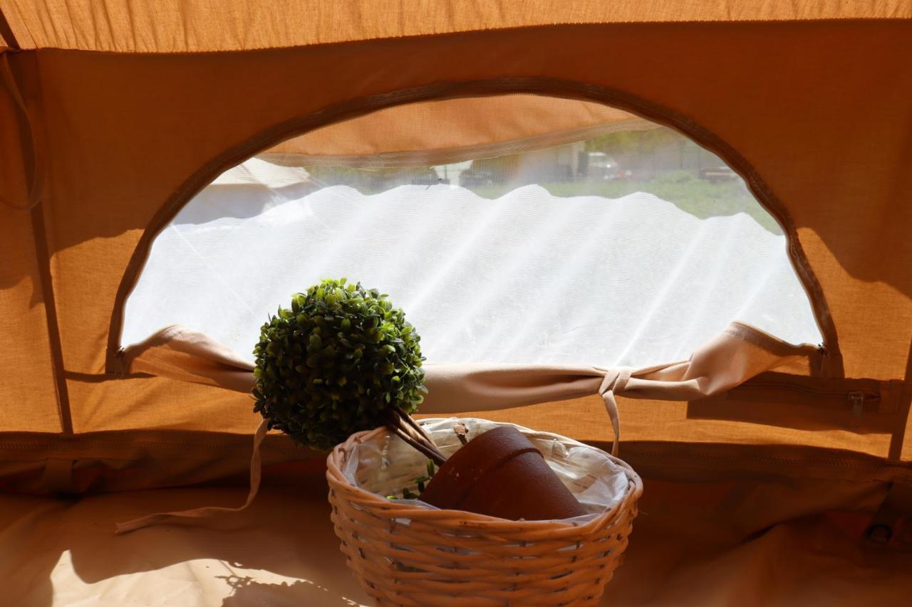 Luna Rock Glamping Brezoi - Blue Scai Buitenkant foto