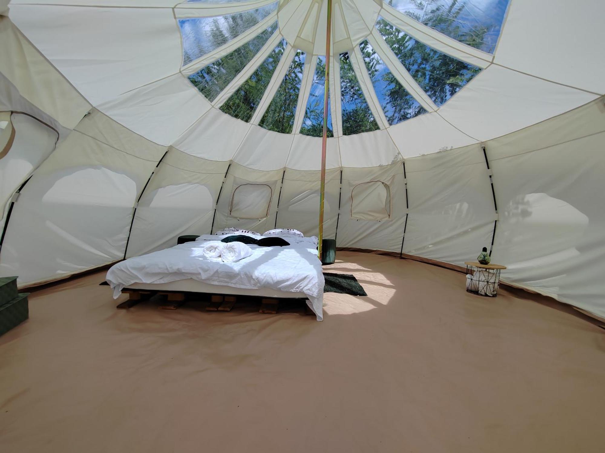 Luna Rock Glamping Brezoi - Blue Scai Hotel Buitenkant foto